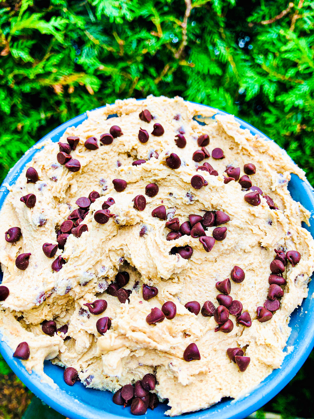 Edible Cookie Dough