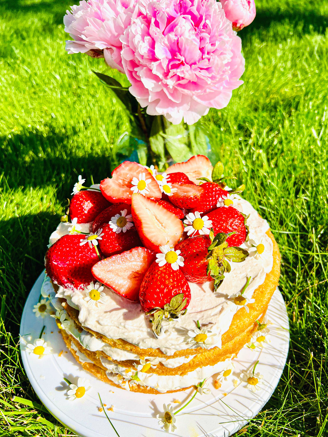 Strawberry Lemon Olive Oil Cake