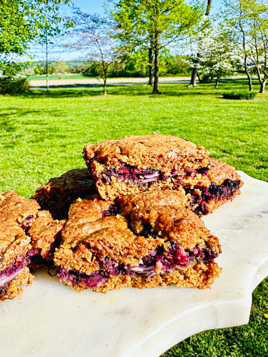 Blueberry Lemon Oat Bars