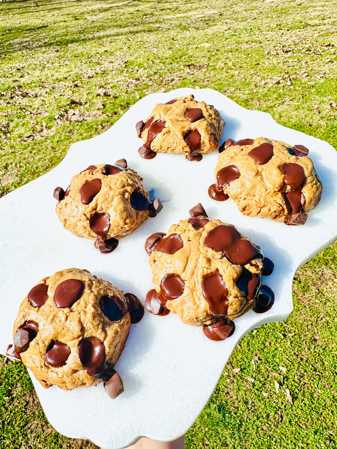 Peanut Butter Chocolate Chip Oatmeal Cookies