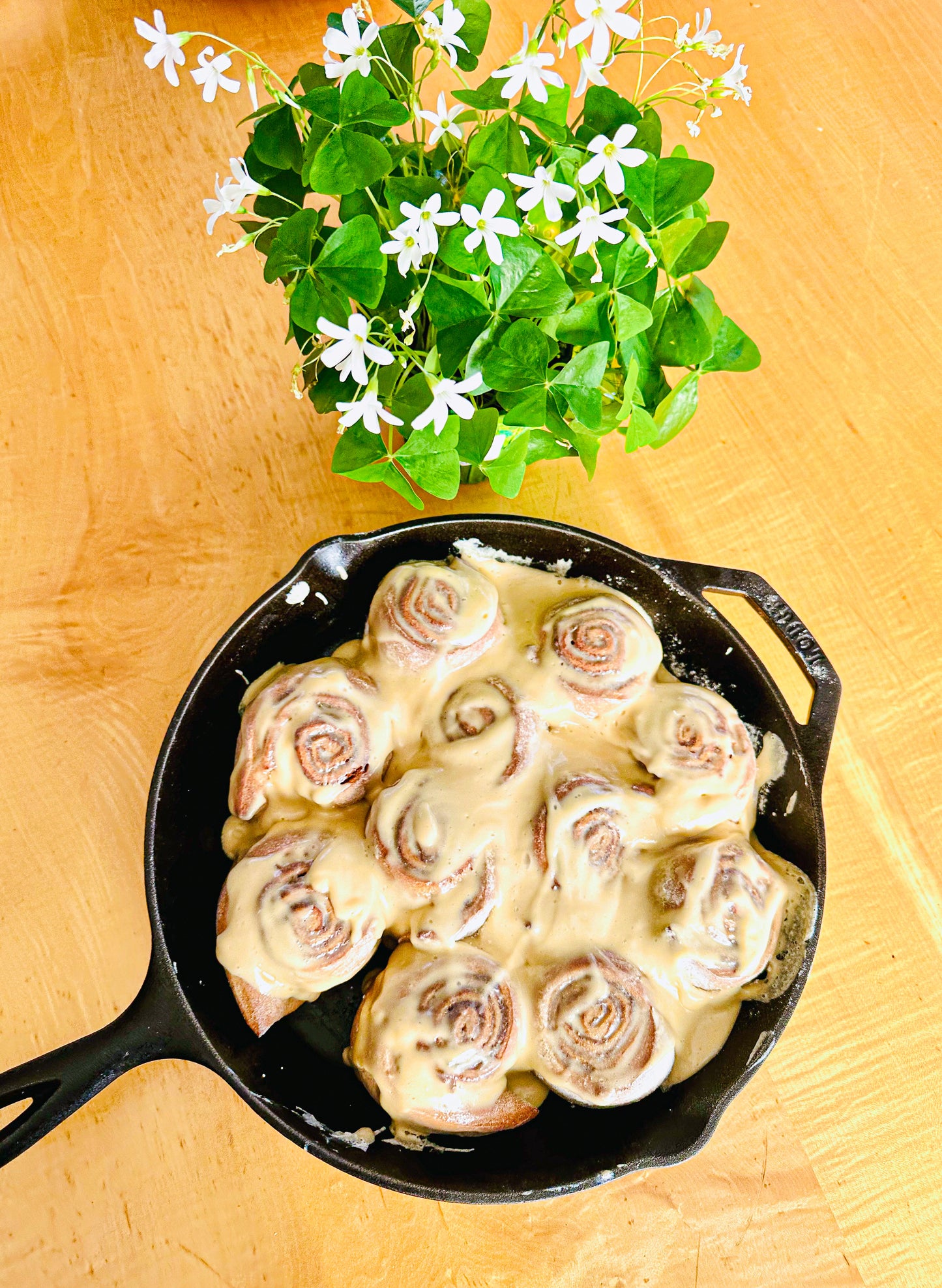 Honey Spelt Cinnamon Rolls